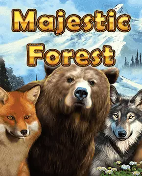 Majestic Forest