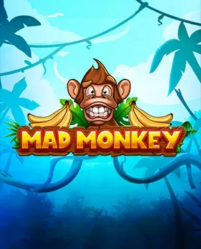 Mad Monkey