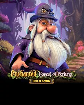 Enchanted Forest of Fortune: Hold and Win