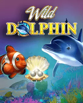 Wild Dolphin