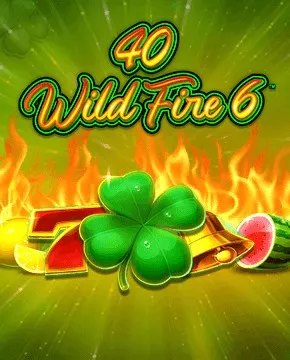 40 Wild Fire 6