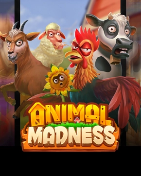 Animal Madness