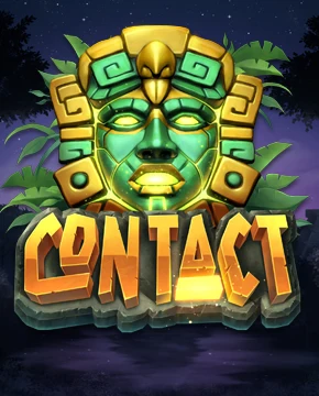 Contact