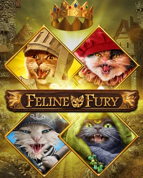 Feline Fury