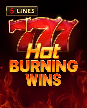 Играть в игровой автомат Hot Burning Wins
