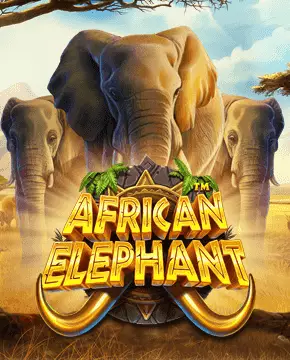 African Elephant™