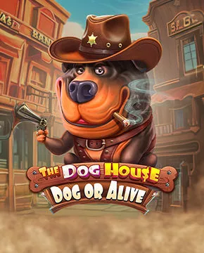 The Dog House – Dog or Alive