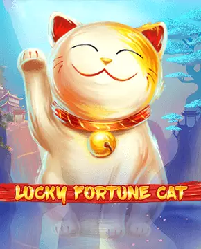 Lucky Fortune Cat