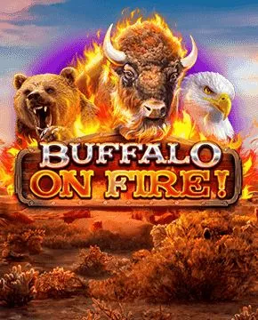 Buffalo on Fire