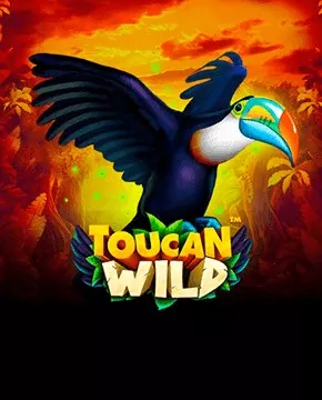 Toucan Wild