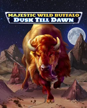 Majestic Wild Buffalo - Dusk Till Dawn