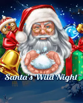 Santa’s Wild Night