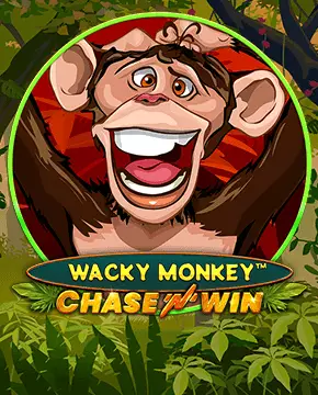 Wacky Monkey - Chase'N'Win