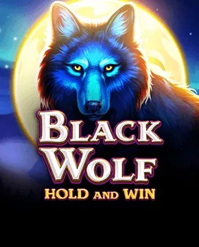 Black Wolf